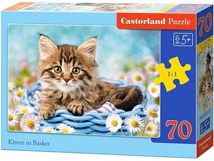 Castorland detské puzzle Mačka v košíku 70 dielikov