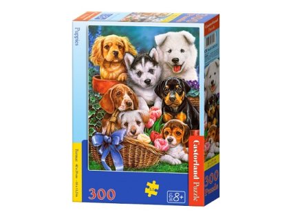 Castorland detské puzzle Šteniatka 300 dielikov