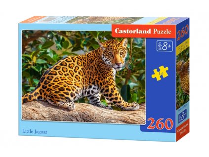 Castorland puzzle Malý jaguár - 260 dielikov
