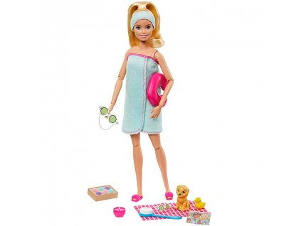 Mattel Barbie - Wellness bábika s doplnkami