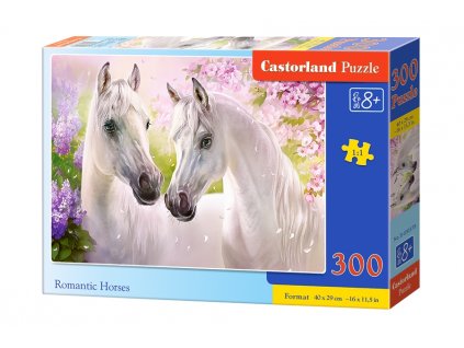 castorland puzzle kone 300 dielikov