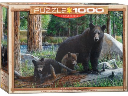 Eurographics puzzle Medvede 1000 dielikov