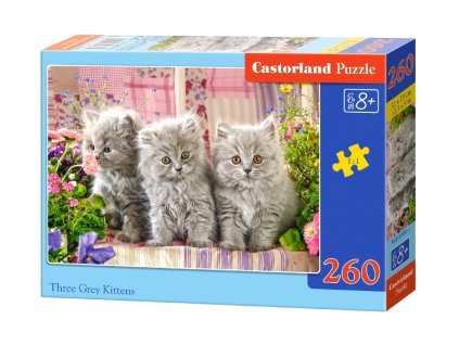 Castorland puzzle Šedé mačiatka - 260 dielikov