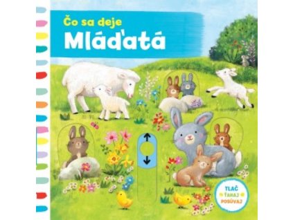 co sa deje mladatka