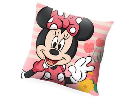 vankusik minnie hello sunshine 1