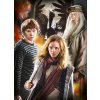 Clementoni puzzle Harry Potter 3x1000 dielikov