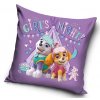 vankus paw patrol girls night 40 x 40 cm