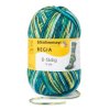 Regia Gletscher col Mossblue 08137
