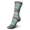 Regia 6ply Nordic Nature Fjords 6103