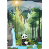 Pandí svět