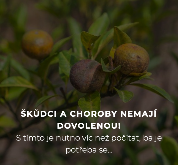 Škůdci a choroby nemají dovolenou!