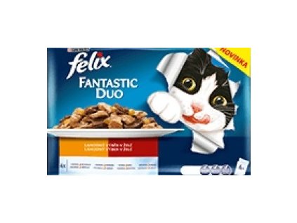 Felix Duo masový výběr v želé 60x85g