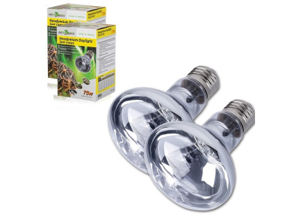 neodymium 75 w