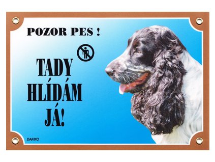 anglický kokr černobílý