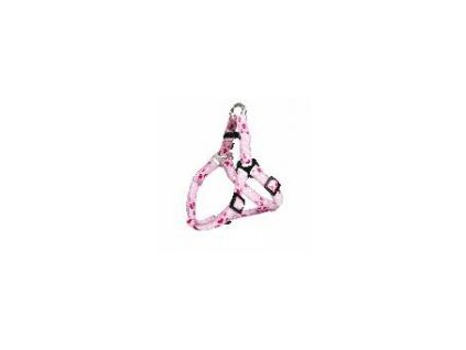 Postroj D Ring (trixie)ROSE HEART