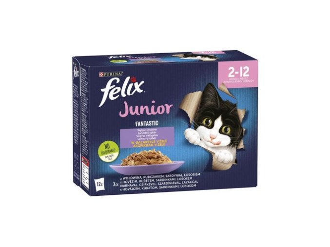 FELIX FANTASTIC Junior s kuřetem v želé Mix příchutí 12x85g