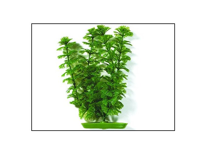 Rostlina UH 20cm (Cabomba)