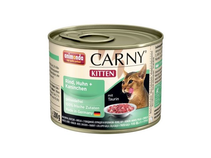kitten 583490