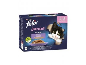 FELIX FANTASTIC Junior s kuřetem v želé Mix příchutí 12x85g