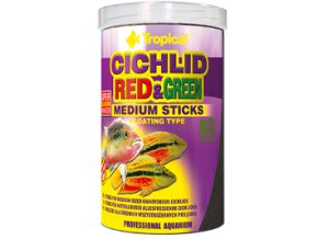 Tropical cichlid Red Green Medium