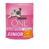 Purina One befensis junior