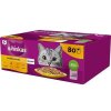 Whiskas adult drůbeží v želé 80 x 100g