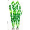 Vallisneria