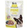Brit care mini jehněčí