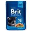 Brit premium kotě 100g