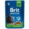Brit premium sterilized 100g