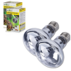 neodymium 75 w