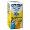 Vitafit multivitamin 10ml