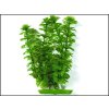 Rostlina UH 20cm (Cabomba)