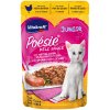 Vitakraft Cat Poésie Déli Sauce Junior kapsička Kuřecí 85g