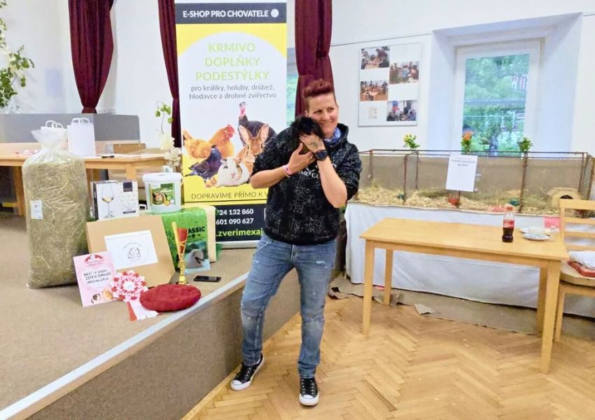 Májová DUO výstava ušlechtilých morčat a my u toho