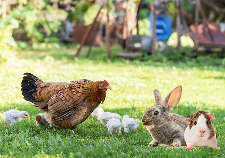 VÝPRODEJOVÉ ceny zboží v expiraci