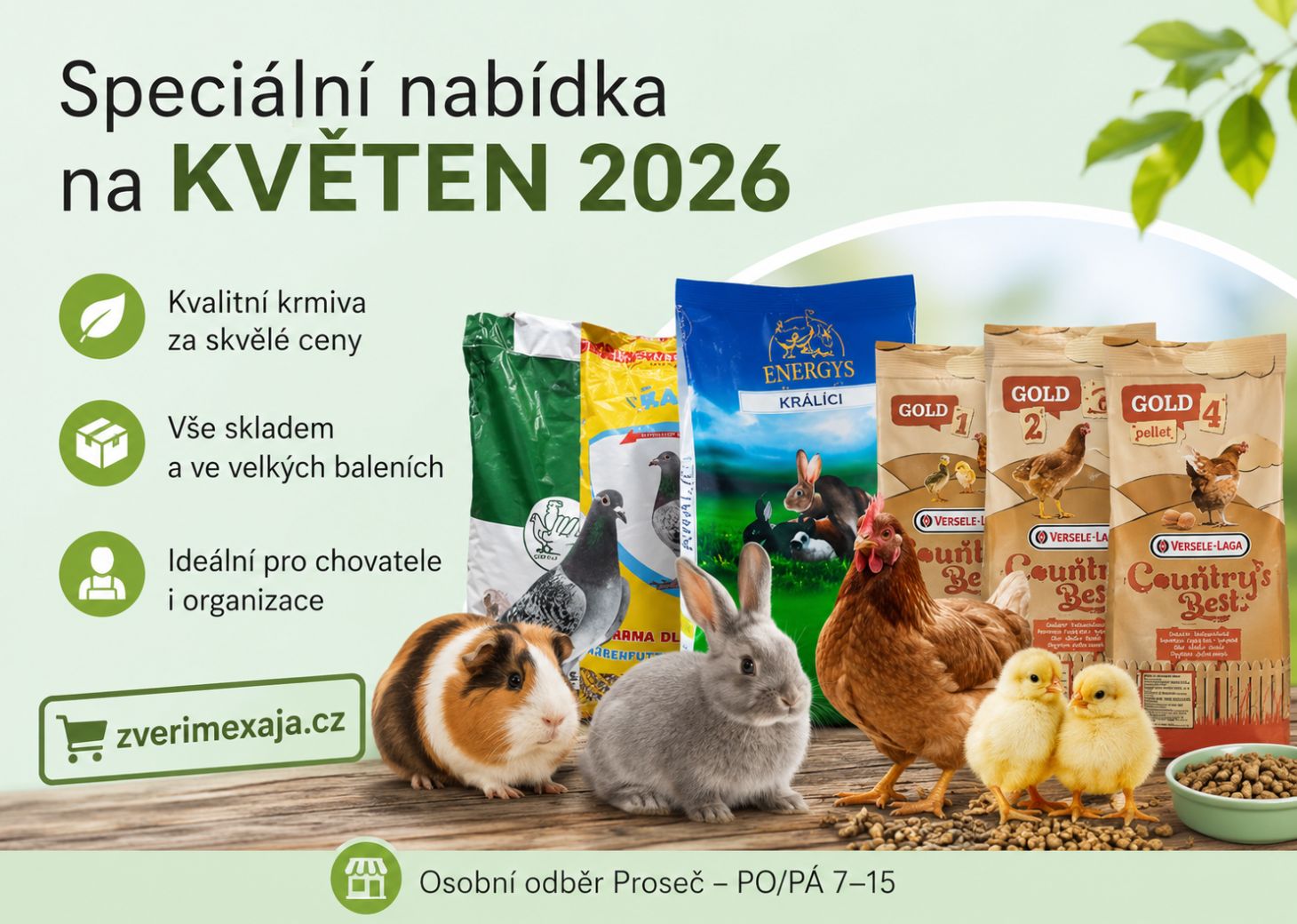 Nabídka měsíce