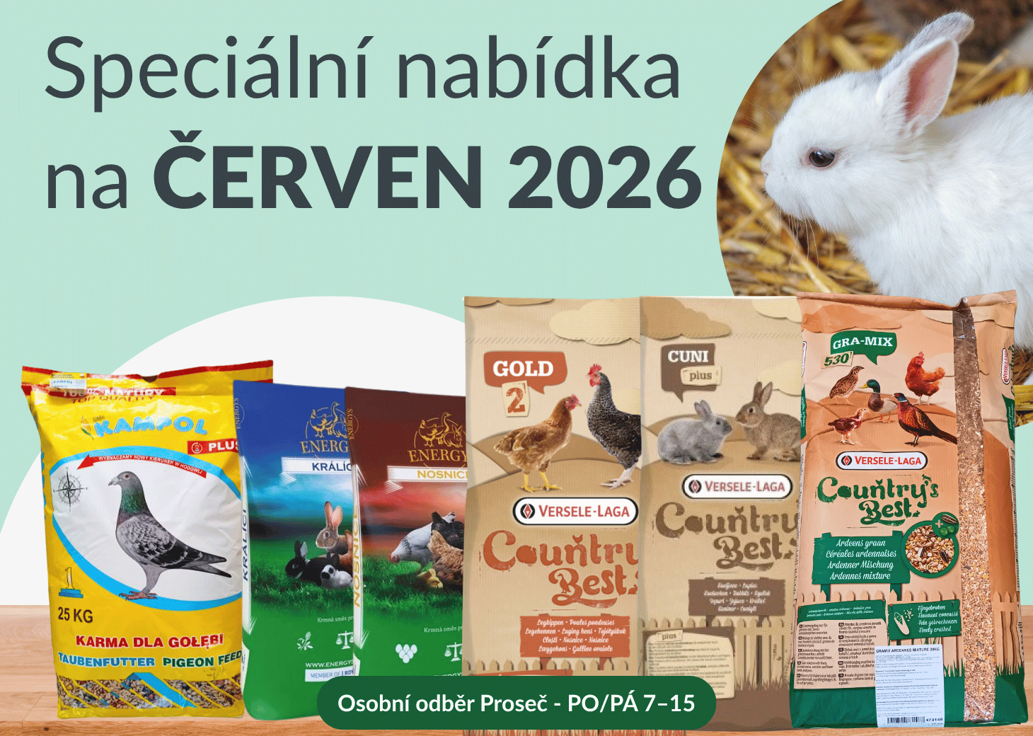 Nabídka měsíce