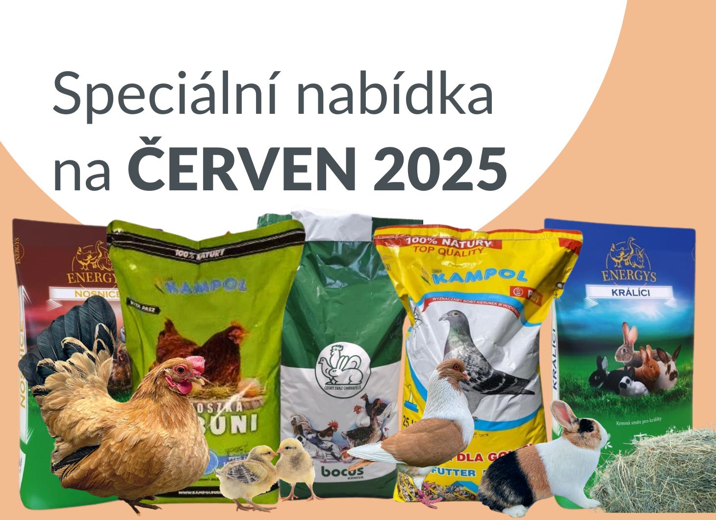Nabídka měsíce
