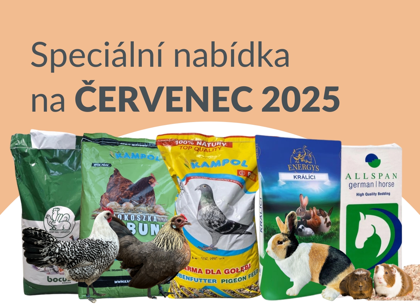 Nabídka měsíce