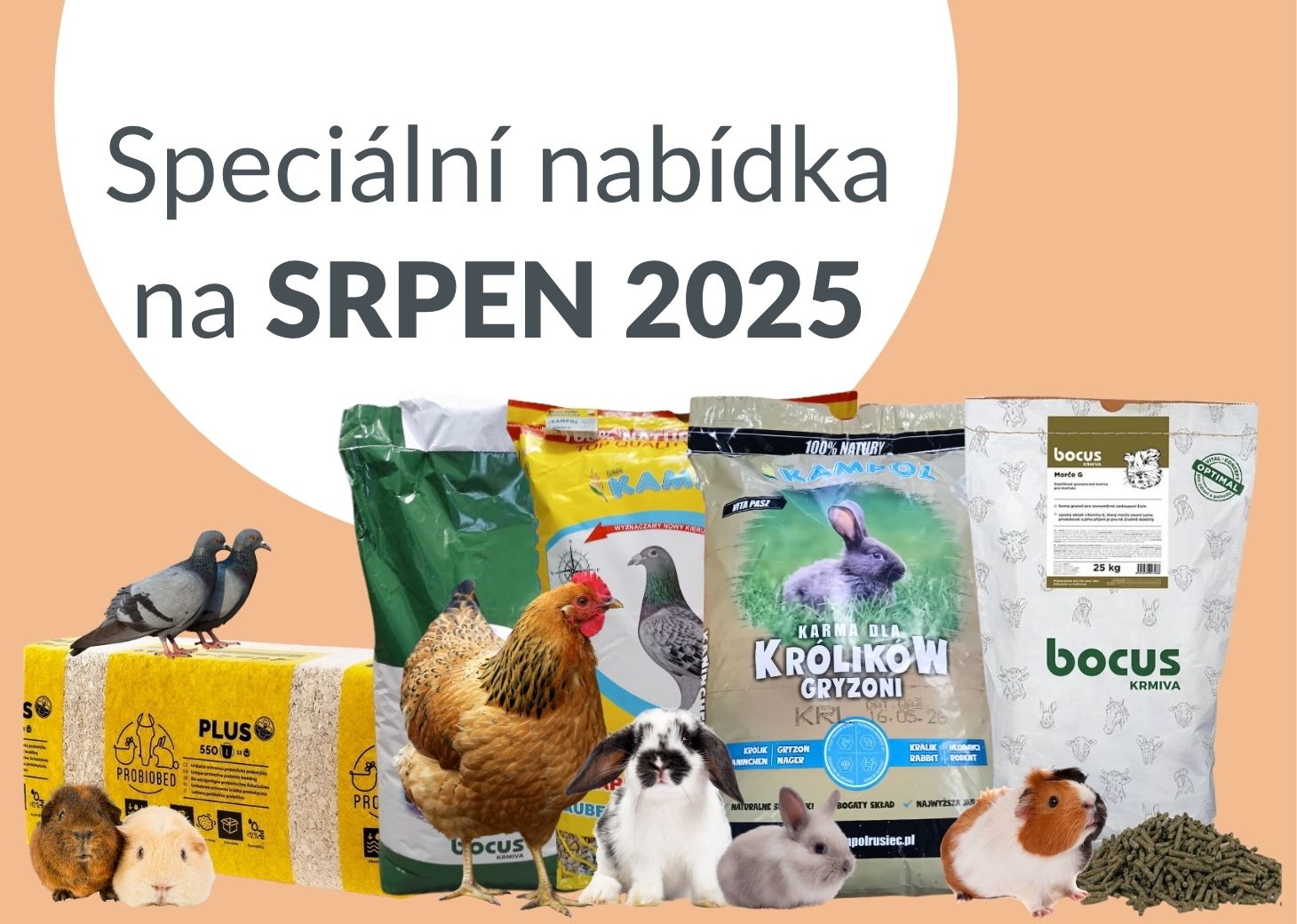 Nabídka měsíce