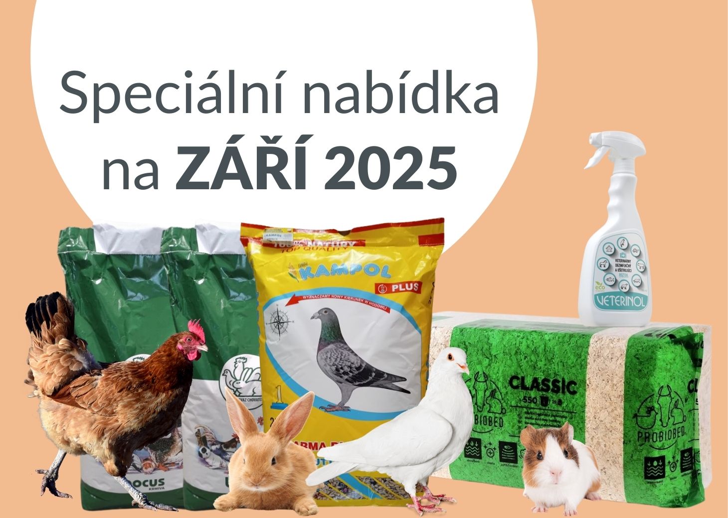 Nabídka měsíce