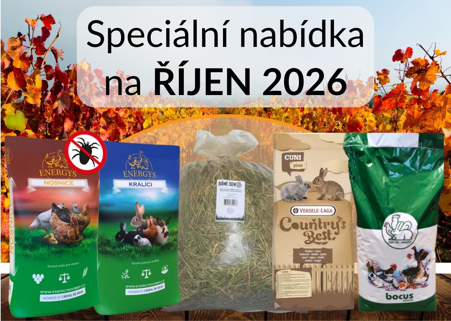 Nabídka měsíce