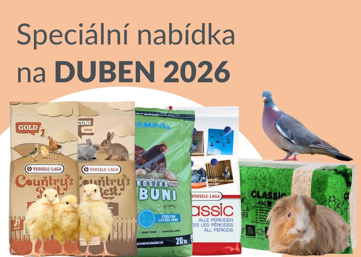 Nabídka měsíce