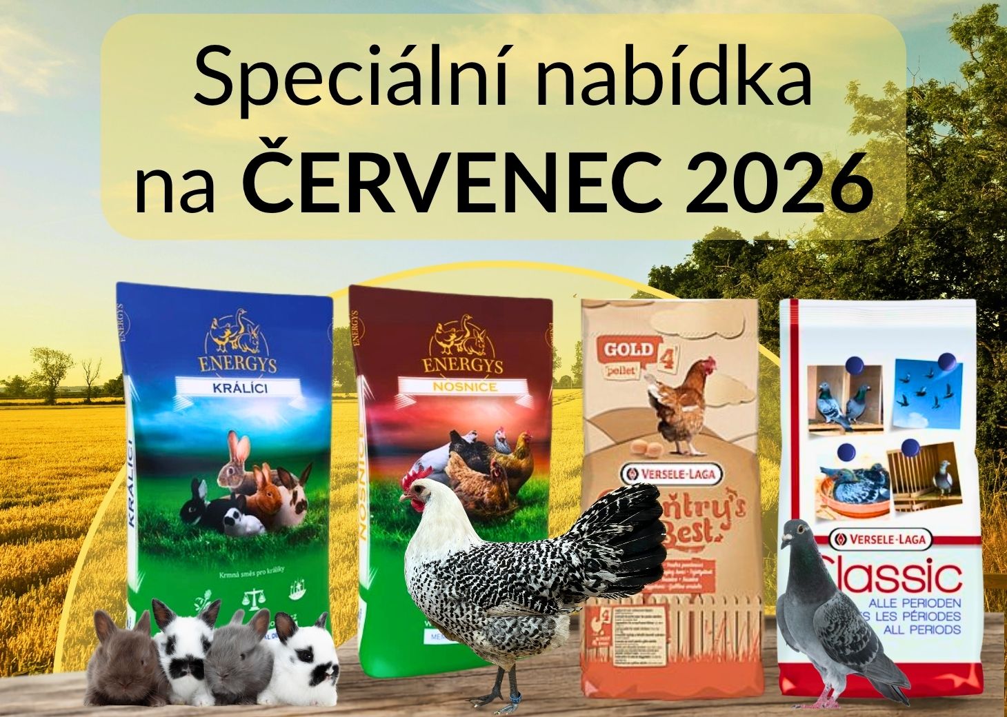 Nabídka měsíce