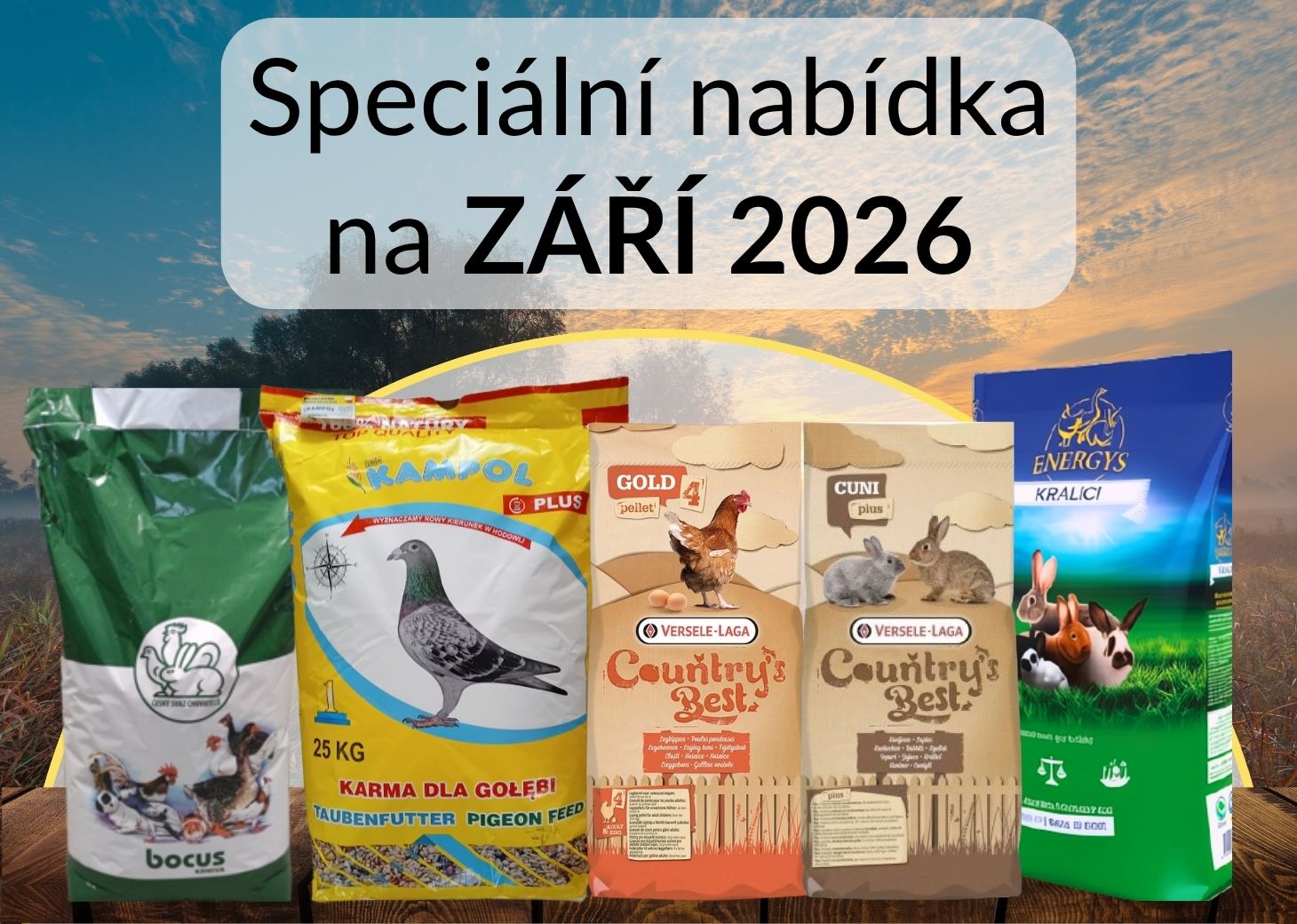 Nabídka měsíce