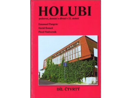 holubi 4