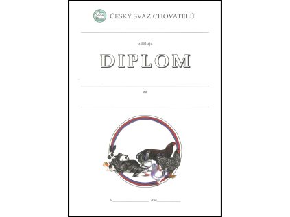diplom csch