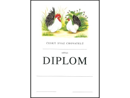 diplom csch drubez