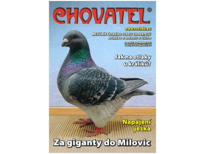 chovate 09 2025